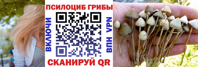 Галлюциногенные грибы Psilocybe  hydra зеркало  Протвино  купить закладку 