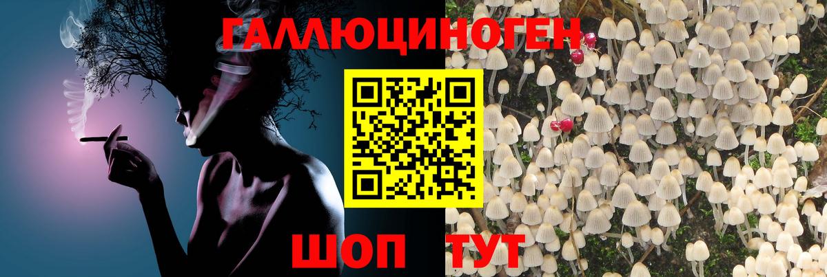 Псилоцибиновые грибы ЛСД Протвино