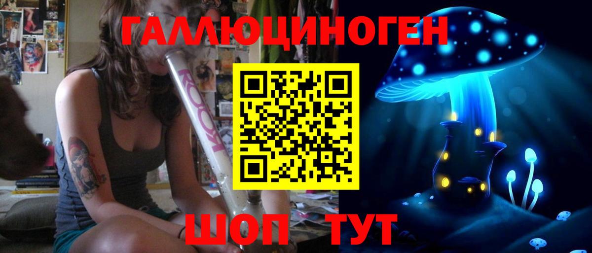 Протвино  Галлюциногенные грибы Psilocybe  Вход с VPN 